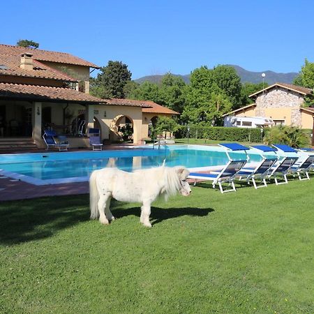 Podere San Paolo San Giuliano Terme Exteriér fotografie