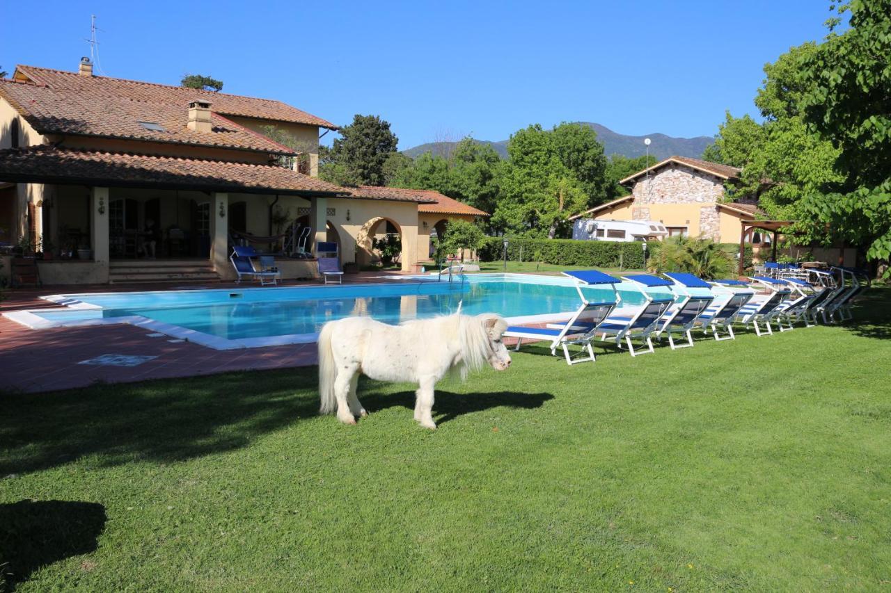 Podere San Paolo San Giuliano Terme Exteriér fotografie