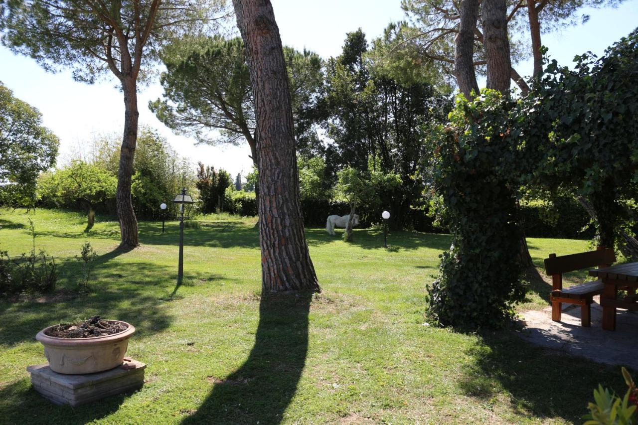 Podere San Paolo San Giuliano Terme Exteriér fotografie
