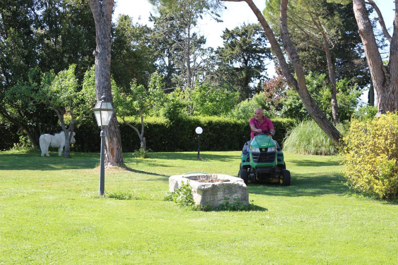 Podere San Paolo San Giuliano Terme Exteriér fotografie